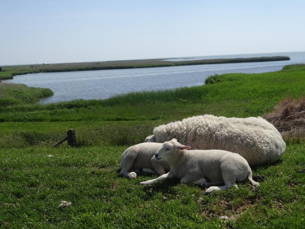 Nederland